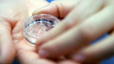 女人肚子硬宫寒或肠胃有问题？